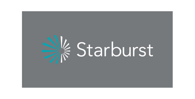 Starburst Data Brand Identity Delin Design